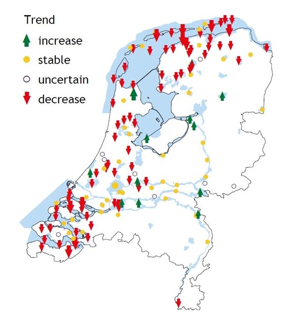 Overwinterende SV Vogelgriep